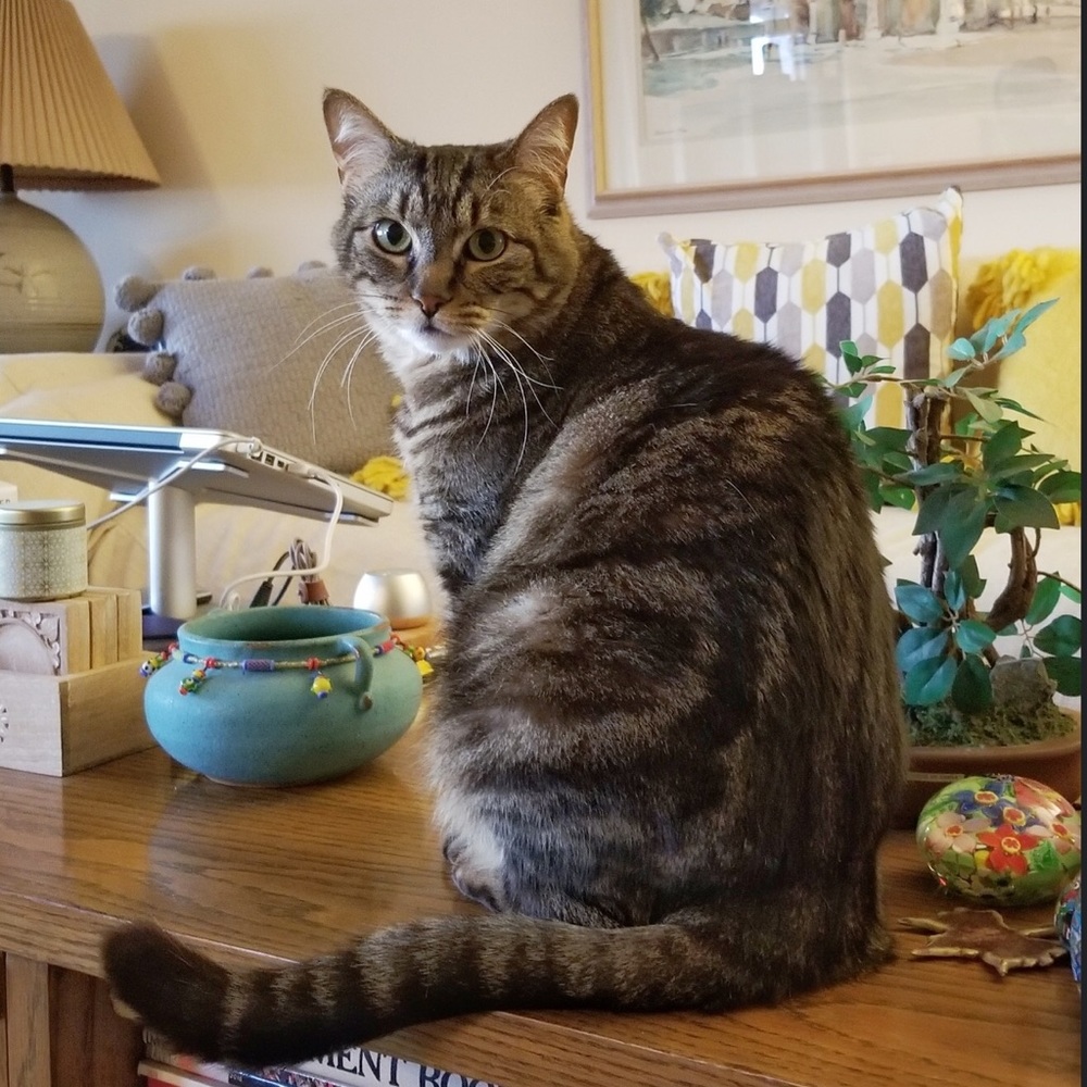 Meet your Posher, Janice